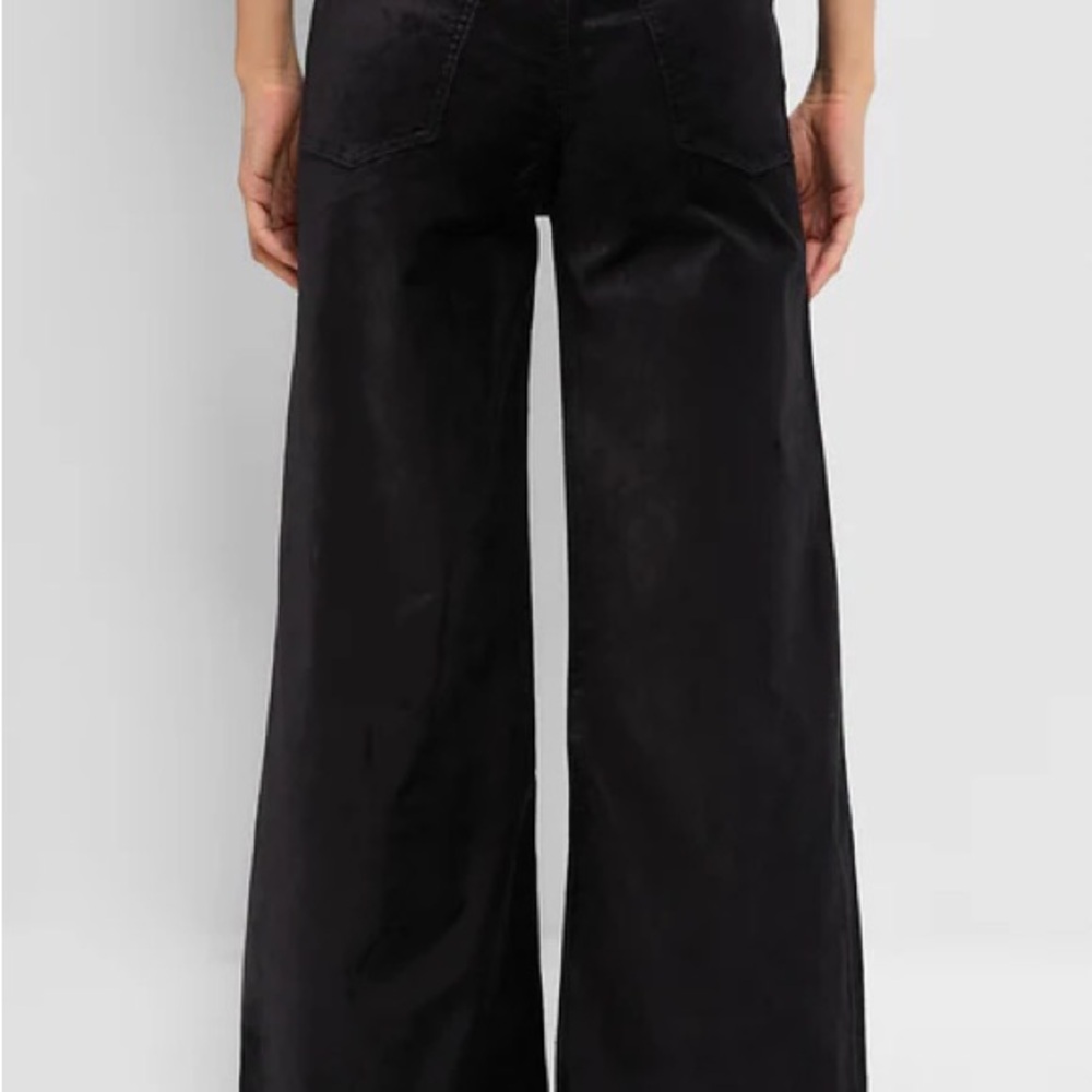 Citizens of humanity black velvet pants 25